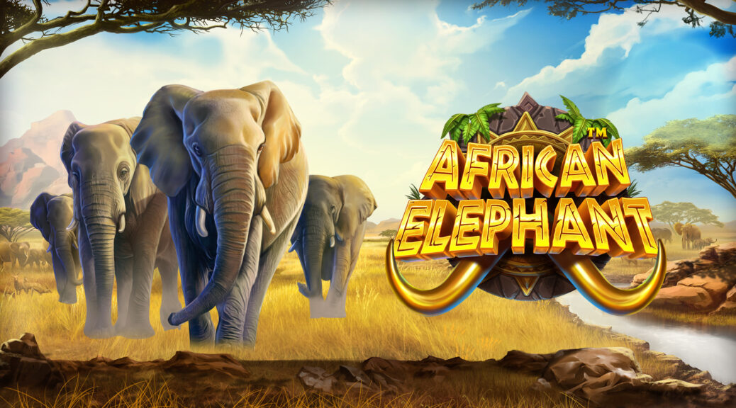 African Elephant